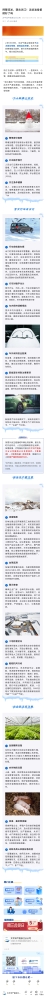 3.預(yù)警連發(fā)，襲擊浙江！這些準(zhǔn)備都做好了嗎？